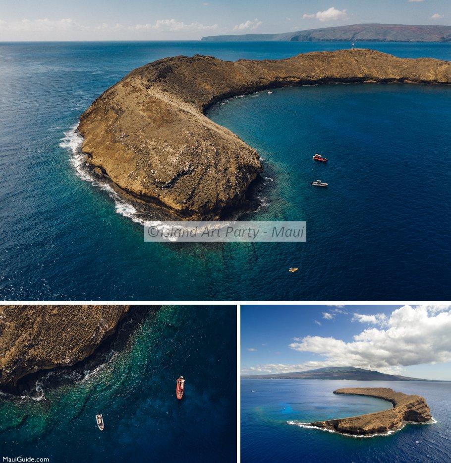 snorkeling at Molokini