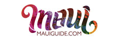 Review of Island Art Party on MauiGuide.com